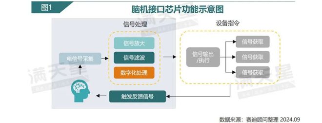 IT新语｜赛迪顾问：脑机接口芯片：探索大脑奥秘开启未来智能交互新征程（2024年第9期（总第15期））(图1)