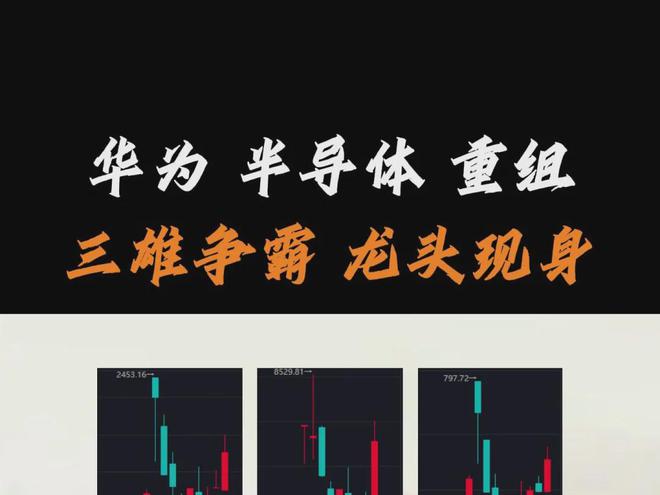 “半导体”重组 收购台积电、中芯国际供应商望超越双成+贝岭(图1)