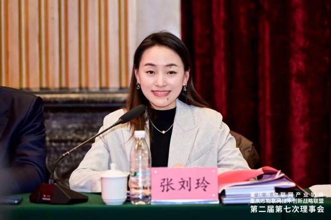 重庆市物联网产业协会重庆市物联网技术创新战略联盟第二届第七次理事会成功召开(图3) 重庆市物联网产业协会重庆市物联网技术创新战略联盟第二届第七次理事会成功召开(图3)
