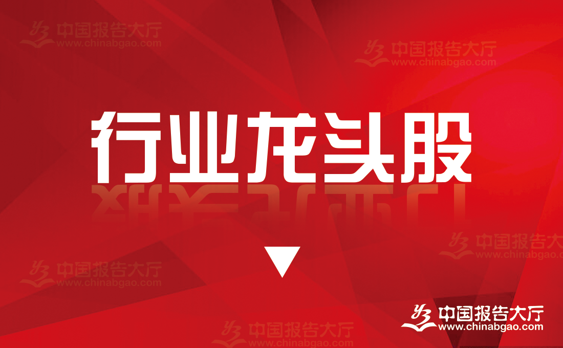 2024年存储芯片概念龙头股一览表(存储芯片概念龙头)